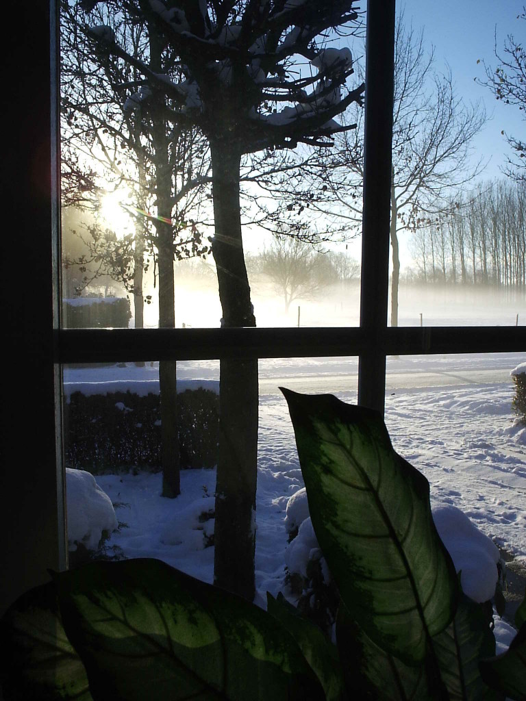 Winters uitzicht vanuit ons keukenraam (2004)