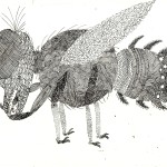 insect 01