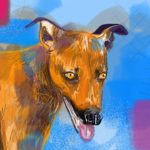 Hondenportret