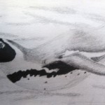 zeehond2