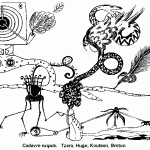 Tzara, Hugo, Knutsen, Breton