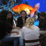 Groep Clarisse