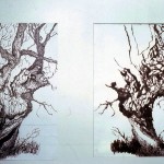 Pentekening en droge naald 6