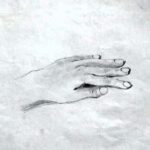 studie-hand