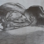 schedel