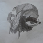 schedel