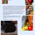 7 Tekenen verslag boek project
